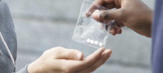 Drug Offenses