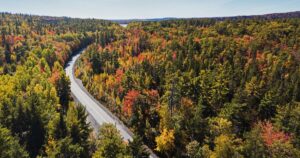 Freehold Car Accident Lawyers at Ellis Law Advocate for Car Accident Victims Injured During Fall Driving