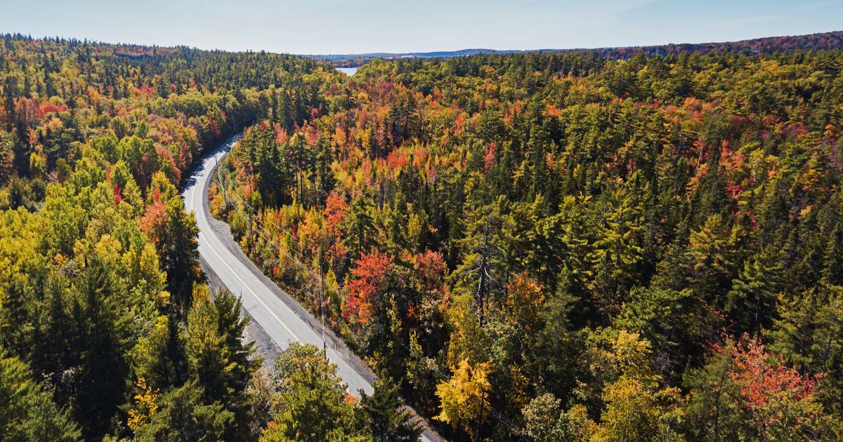 Freehold Car Accident Lawyers at Ellis Law Advocate for Car Accident Victims Injured During Fall Driving