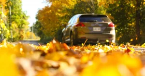 Don't Let Fall Driving Hazards Make A Daily Drive Dangerous. Contact our Skilled Freehold Car Accident Lawyers at Ellis Law.
