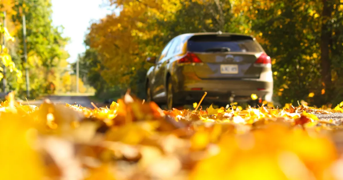 Don't Let Fall Driving Hazards Make A Daily Drive Dangerous. Contact our Skilled Freehold Car Accident Lawyers at Ellis Law.